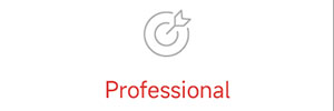 1-Professional